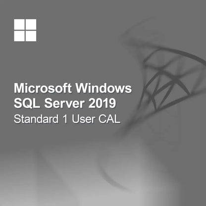 Microsoft SQL Server 2019 Standard 1 uživatelská CAL